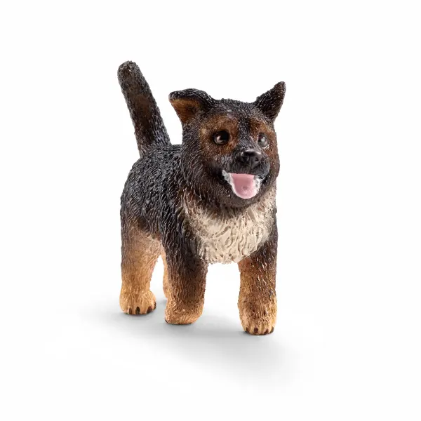 Schäferhund Welpe