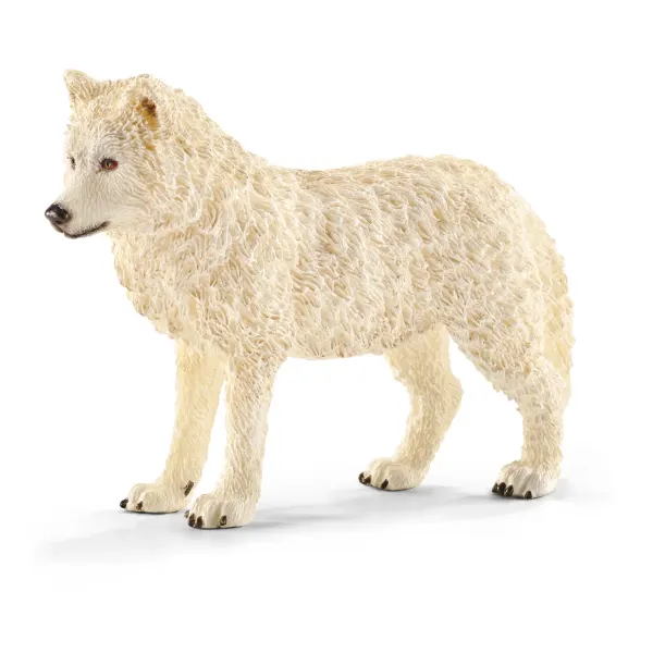 Arktischer Wolf (Bundle)