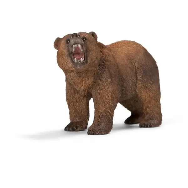 Grizzlybär (Bundle)