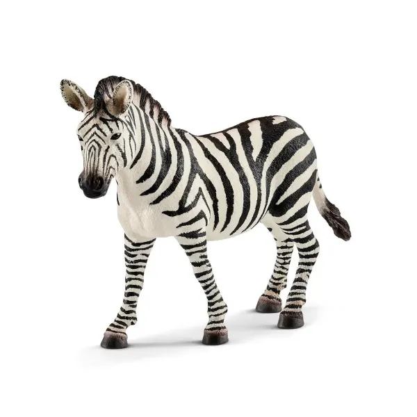 Zebra Stute (bundle)