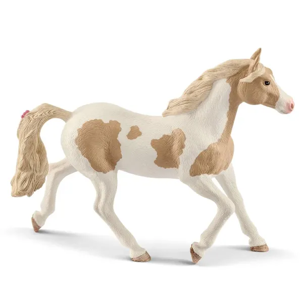 Paint Horse Stute