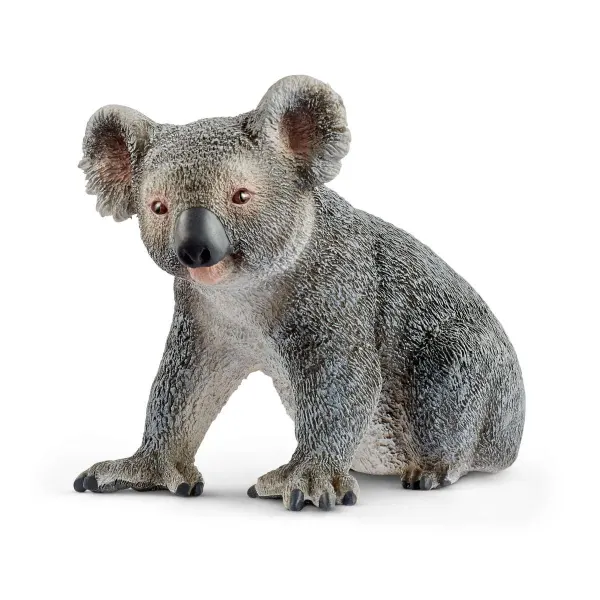 Koala (circular)