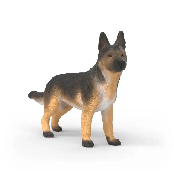 Deutscher Schäferhund Hündin